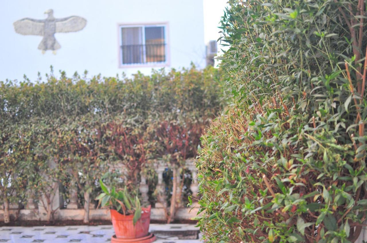Morning Star Guesthouse ชาร์มเอลชีค ภายนอก รูปภาพ