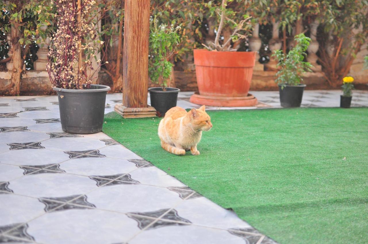 Morning Star Guesthouse ชาร์มเอลชีค ภายนอก รูปภาพ